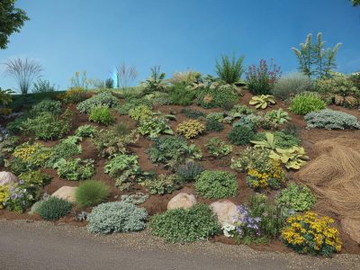 Blossoming on the Slope: Securing Your Hillside for Under 20 Euros per Square Meter