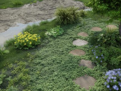 Schlamm ade: 11 Bodenpflanzen, die Ihren Garten wieder begehbar machen