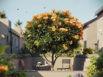 Wie dieser orangefarbene Blütenstrauch jeden Mini-Garten größer erscheinen lässt
